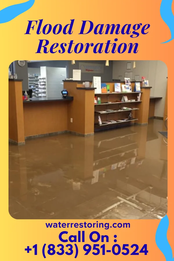 Flood Damage Restoration in Campbellton, FL