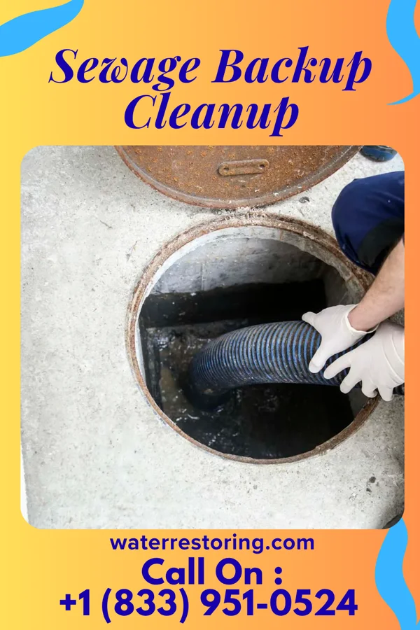 Sewage Backup Cleanup in Campbellton, FL